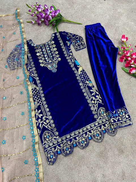 Beautiful Party Wear Suit