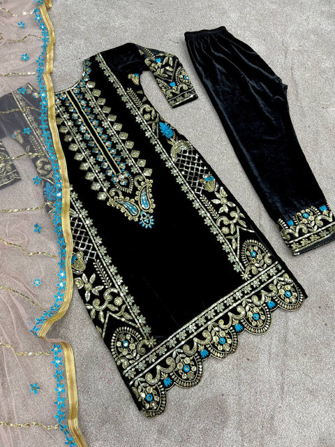 Beautiful Party Wear Suit