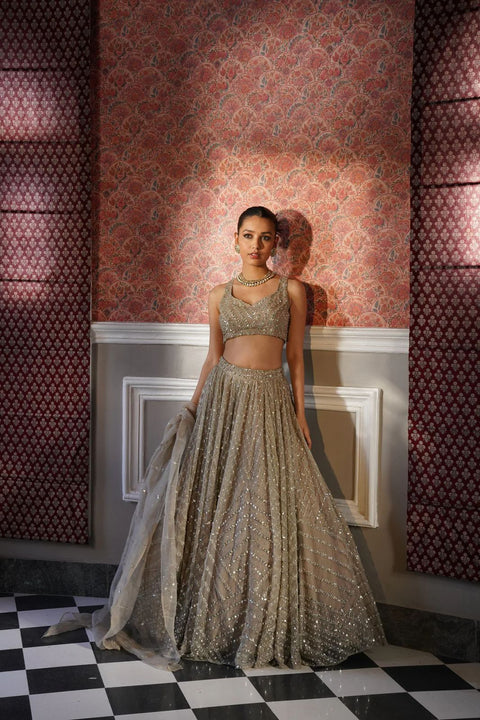 Premium Organza Silk Lehenga Set with Sequins