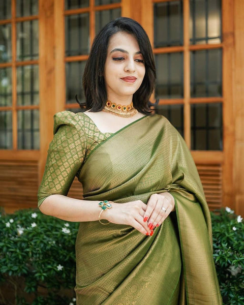 Banarasi Soft Silk Sarees for all occations