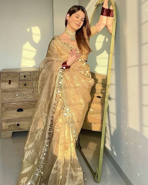 Embellished Sequinned Net Saree