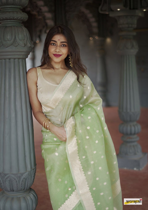 Heavy Georgette Sequence Lace Border Work Butti