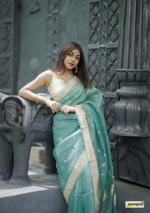 Heavy Georgette Sequence Lace Border Work Butti