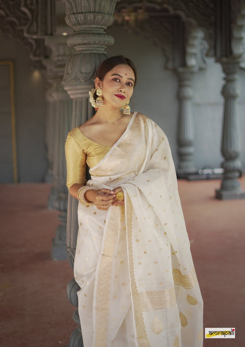 Heavy Georgette Sequence Lace Border Work Butti