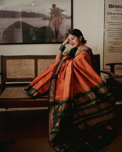 Latest Fancy New Collection Best Quality Designer Saree