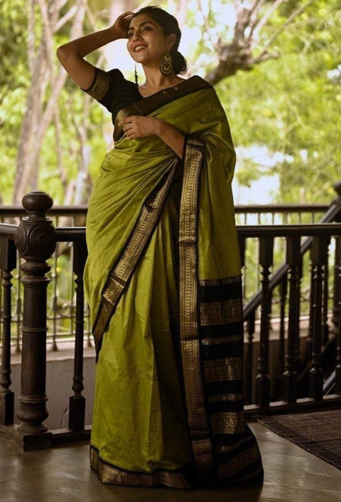 Latest Fancy New Collection Best Quality Designer Saree