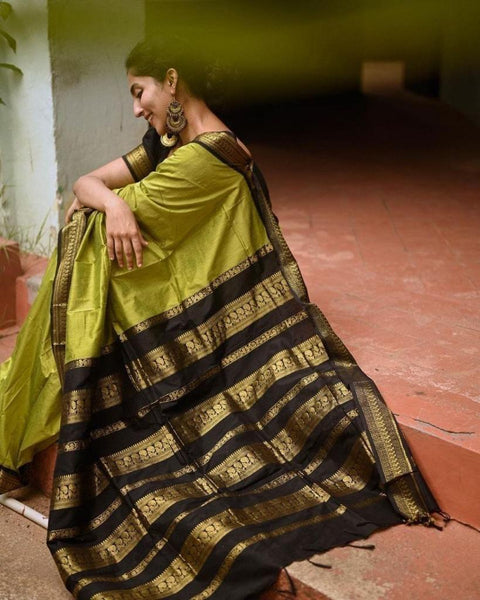 Latest Fancy New Collection Best Quality Designer Saree