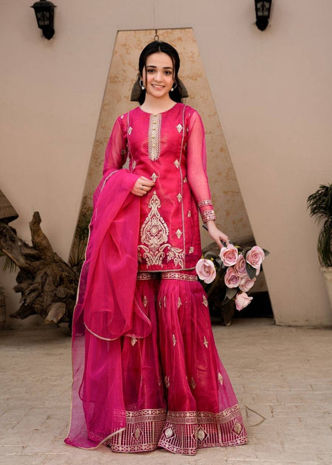 Organza Satin Sequin Embroidered Sharara Suit