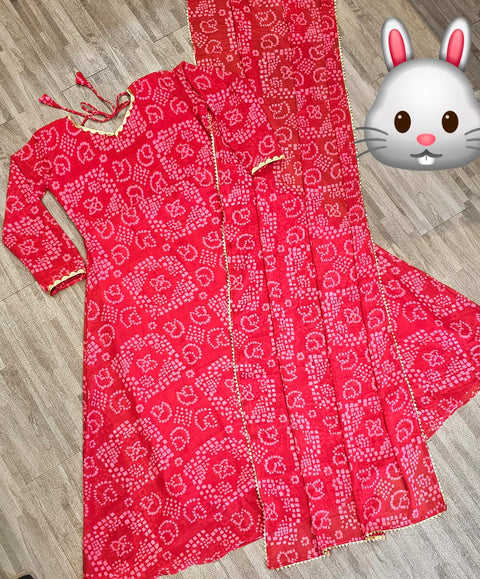 Embroidered Fox Georgette Festival Gown