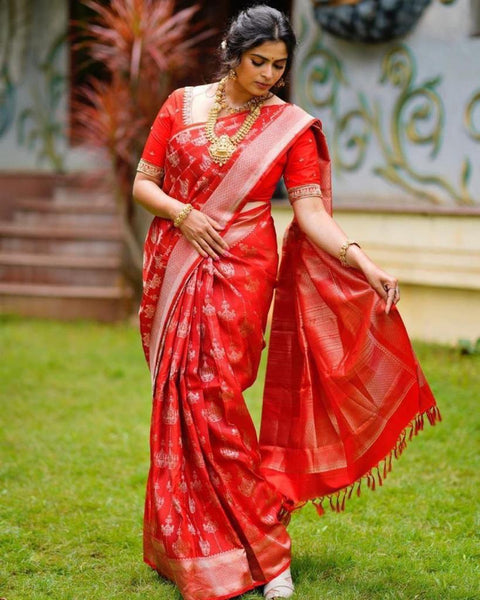 BEAUTIFUL RICH PALLU & JACQUARD WORK SAREE