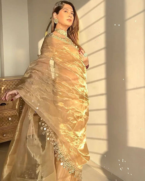 Embellished Sequinned Net Saree