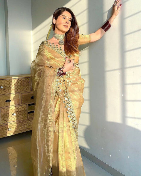 Embellished Sequinned Net Saree