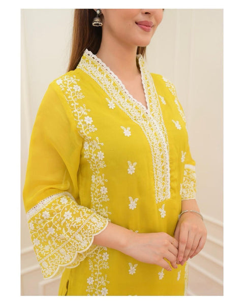 Subtle glamour with Pakistani embroidery Suit