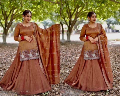 Fancy Sequence Border Work Bids Hand Work top Lehenga