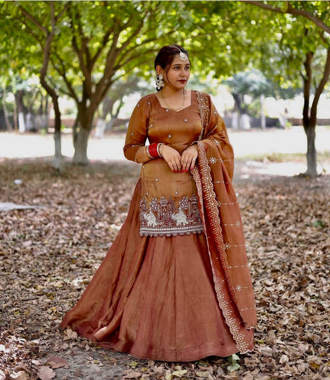 Fancy Sequence Border Work Bids Hand Work top Lehenga