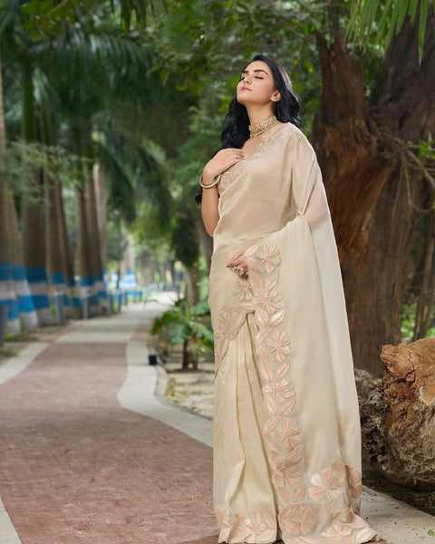 Beautiful Sequence Work and Embroidery Work