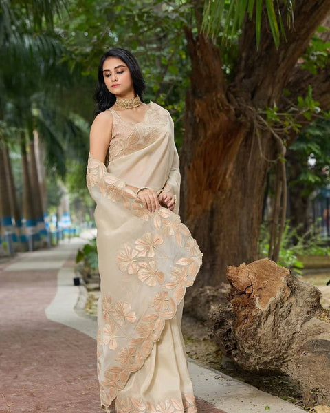 Beautiful Sequence Work and Embroidery Work
