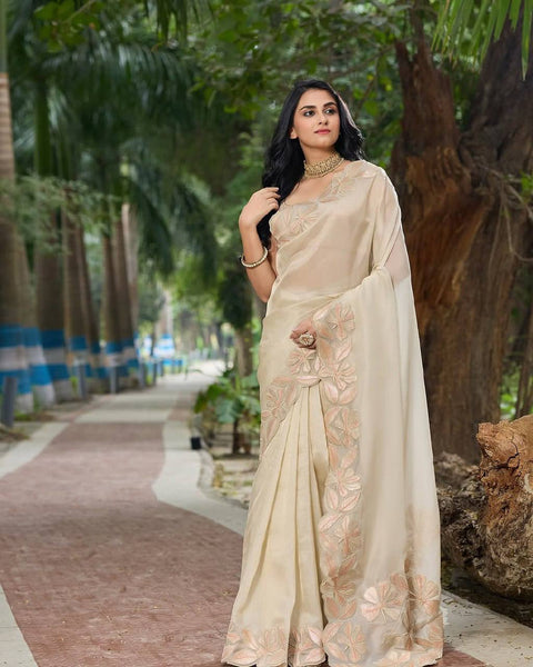 Beautiful Sequence Work and Embroidery Work