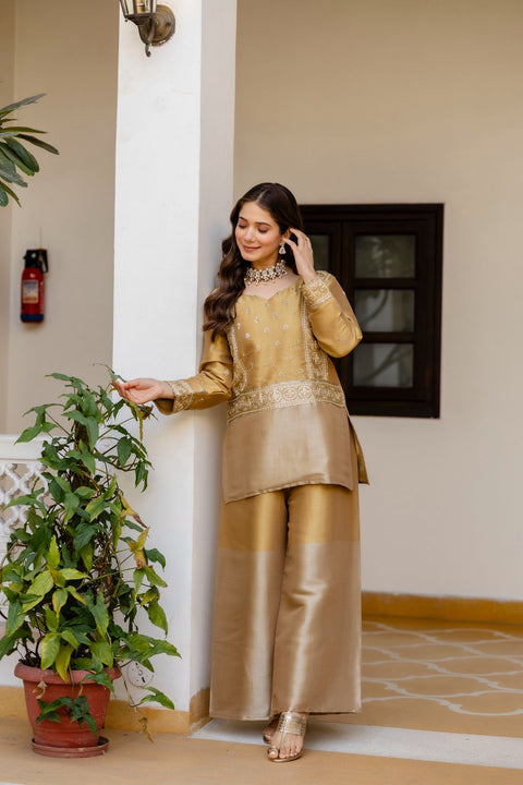 New BANARASI VISCOUS FABRICEXCLUSIVE STUNNING CO-ORD SET