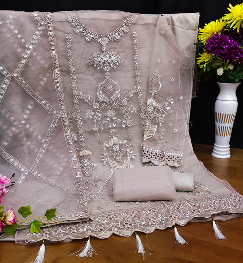 New Pakistani Design Net With Sequence Embroidery Work Dress