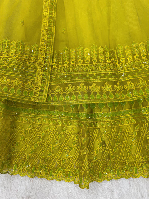 New Beautiful Butterfly netthread with Sequnce  Dress