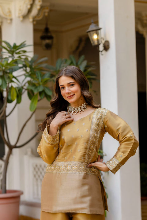 New BANARASI VISCOUS FABRICEXCLUSIVE STUNNING CO-ORD SET