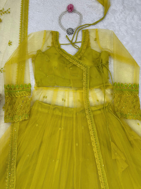 New Beautiful Butterfly netthread with Sequnce  Dress