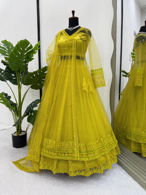 New Beautiful Butterfly netthread with Sequnce  Dress