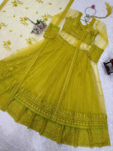 New Beautiful Butterfly netthread with Sequnce  Dress