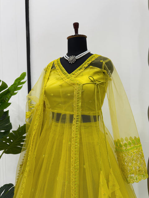 New Beautiful Butterfly netthread with Sequnce  Dress