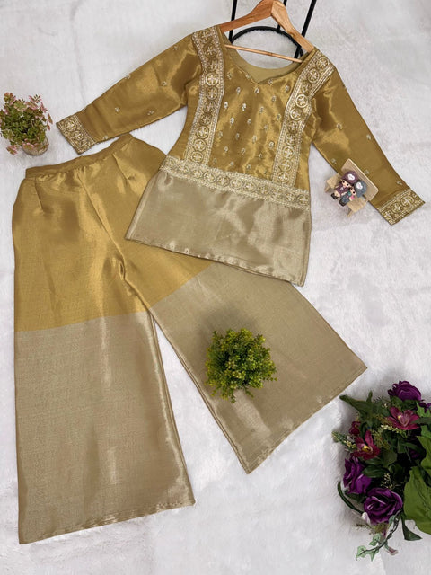 New BANARASI VISCOUS FABRICEXCLUSIVE STUNNING CO-ORD SET