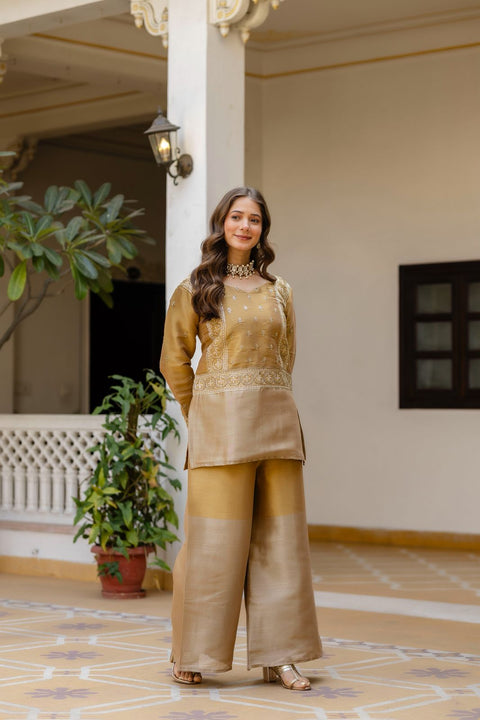 New BANARASI VISCOUS FABRICEXCLUSIVE STUNNING CO-ORD SET