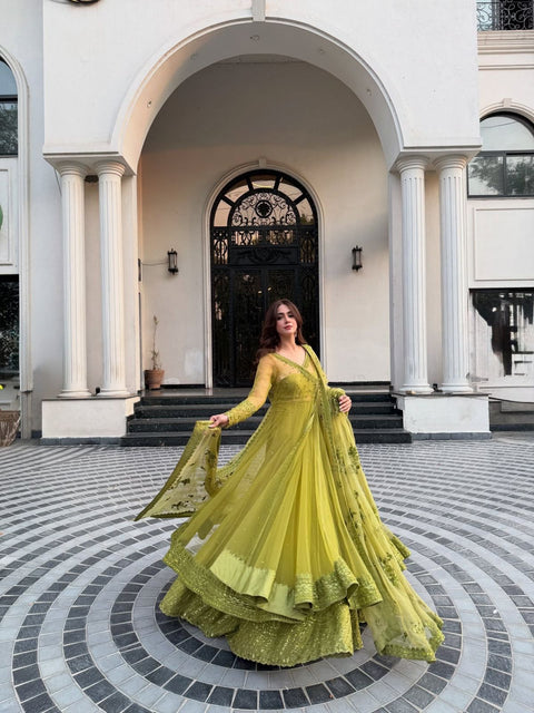 New Beautiful Butterfly netthread with Sequnce  Dress