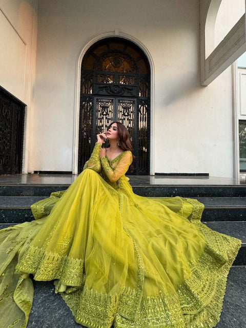 New Beautiful Butterfly netthread with Sequnce  Dress