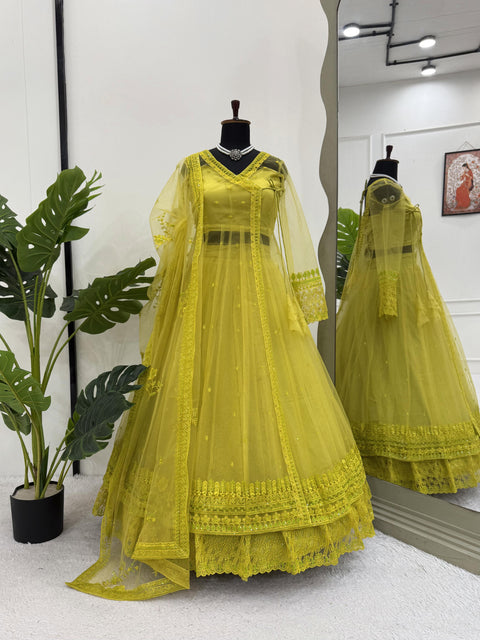 New Beautiful Butterfly netthread with Sequnce  Dress