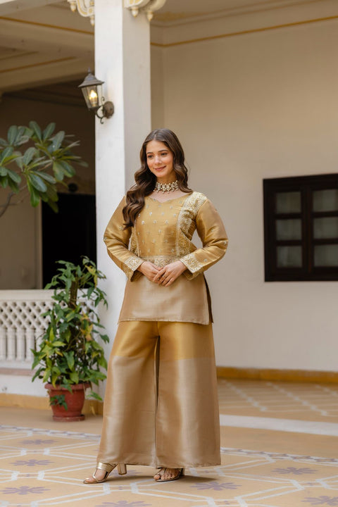 New BANARASI VISCOUS FABRICEXCLUSIVE STUNNING CO-ORD SET