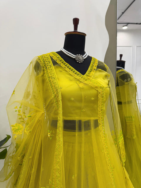 New Beautiful Butterfly netthread with Sequnce  Dress