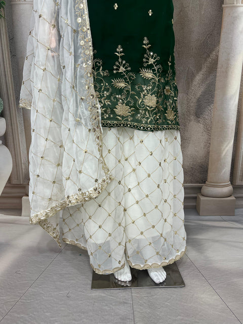 New Launching Pure Faux gorgette Silk Fabric With Micro silk Sarara