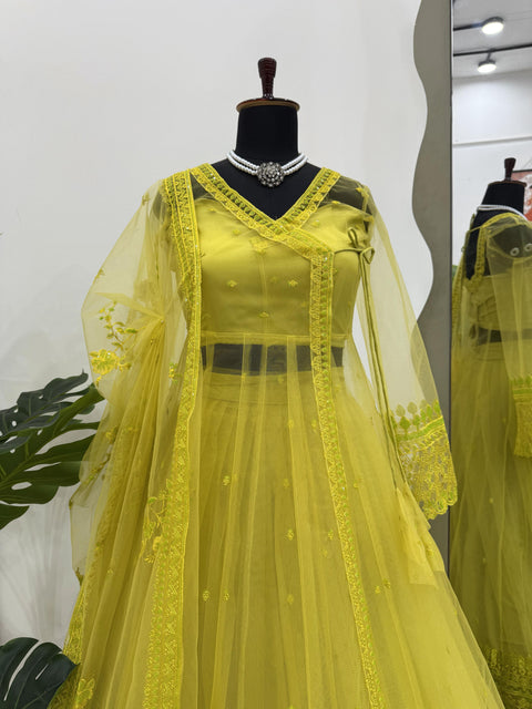 New Beautiful Butterfly netthread with Sequnce  Dress