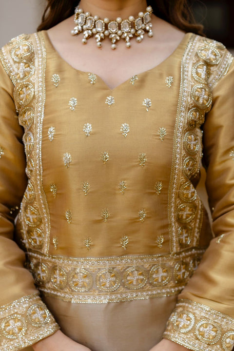 New BANARASI VISCOUS FABRICEXCLUSIVE STUNNING CO-ORD SET