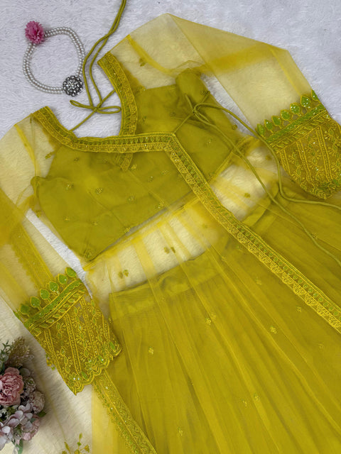 New Beautiful Butterfly netthread with Sequnce  Dress