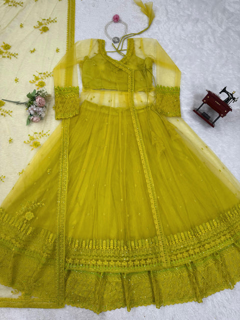 New Beautiful Butterfly netthread with Sequnce  Dress